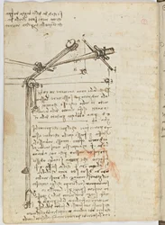 Birds Flight Code, Sheet 16 Verso